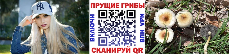 Галлюциногенные грибы мухоморы  Нарткала 